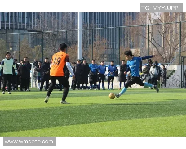 杨强专访：探寻足球成功背后的秘密与智慧