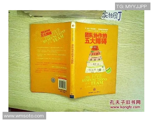 杭州飞盘队配合表现数据分析揭示团队协作与战术执行的关键因素 杭州飞盘队配合表现数据分析揭示团队协作与战术执行的关键因素